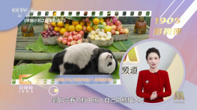 在线观看亚洲人成网站